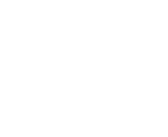 iso 9001 ikon